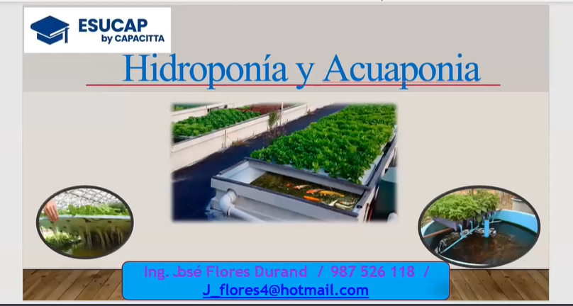 Hidroponía y acuicultura